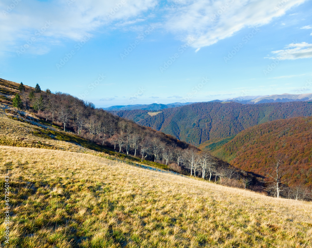 Autumn mountains  with a stark bare trees on forest edge in front (Carpathian, Ukraine).