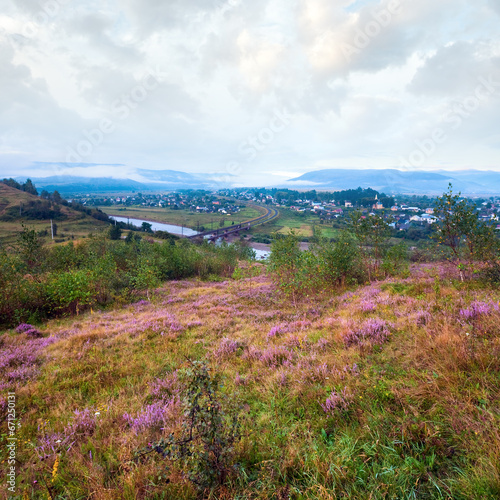 Summer misty morning country foothills view with heather flowers (Lviv Oblast, Ukraine).