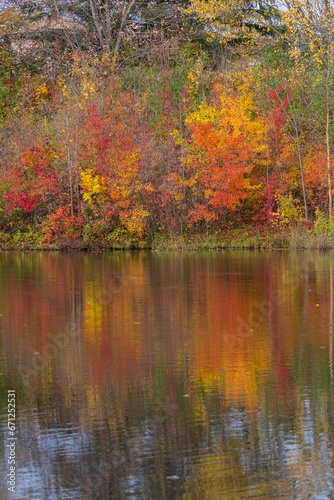 Autumn in Oka national park, Canada