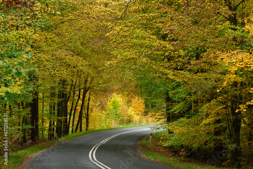 Asfaltowa droga w liściastym, bukowym lesie. Pobocze pokrywa warstwa brązowych liści. Jest jesień część liści przybrała żółty i brązowy kolor.