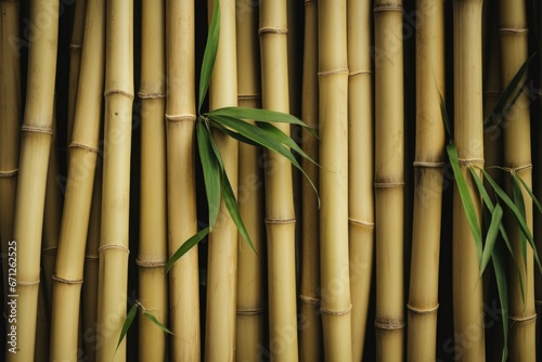 A detailed view of a cluster of bamboo stalks. This image can be used to depict nature  sustainability  or Asian culture.