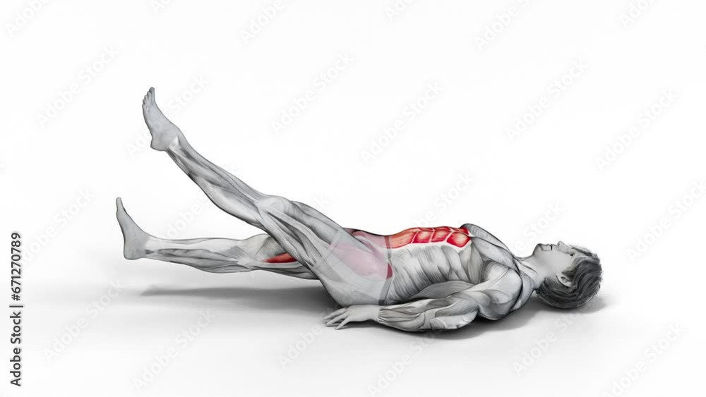 Flutter Kicks-3D (004)-
Anatomy of fitness and bodybuilding with distinct active muscles-
150 frame Animation + 150 frame Alpha Matte
