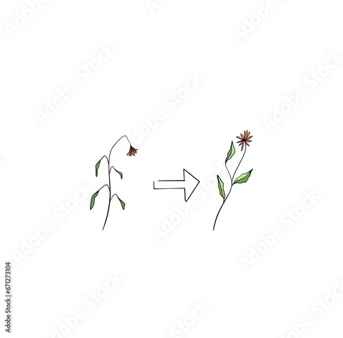 flower in the grass arrow grow growing