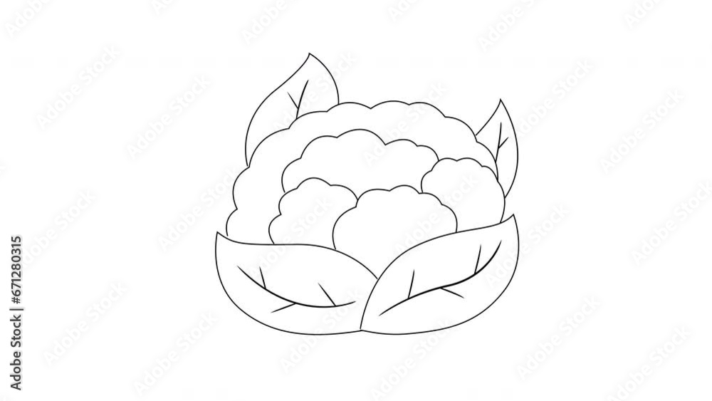 Animation forms a sketch of a cauliflower icon Animation forms a sketch of a cauliflower icon