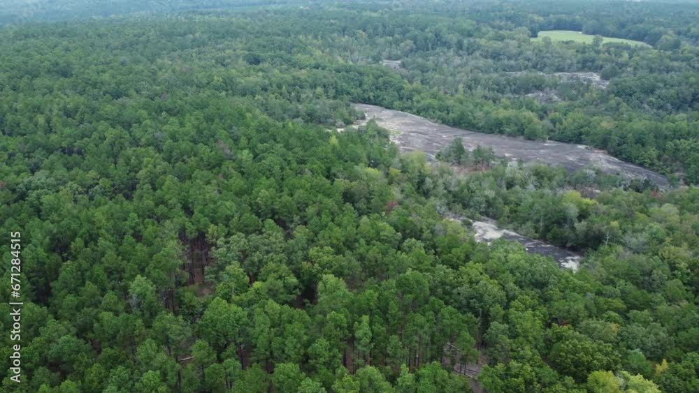 40 acre rock surrounded by trees in South Carolina 40 acre rock surrounded by trees in South Carolina