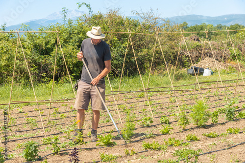 Mature man tilling a field on sunny day photo