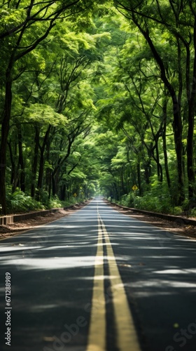 Forest road lines trees UHD wallpaper