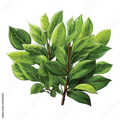 Green leaves vector illustration