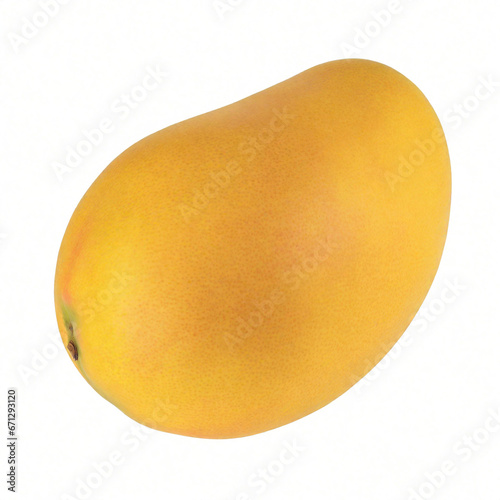 isolated mango fruits on white background