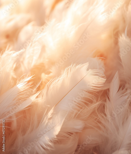 Background with beige feathers