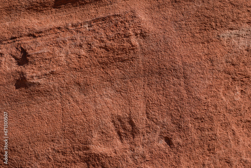 Closeup of red rock texture at Valley of Fire State Park in Moapa Valley, Nevada. photo