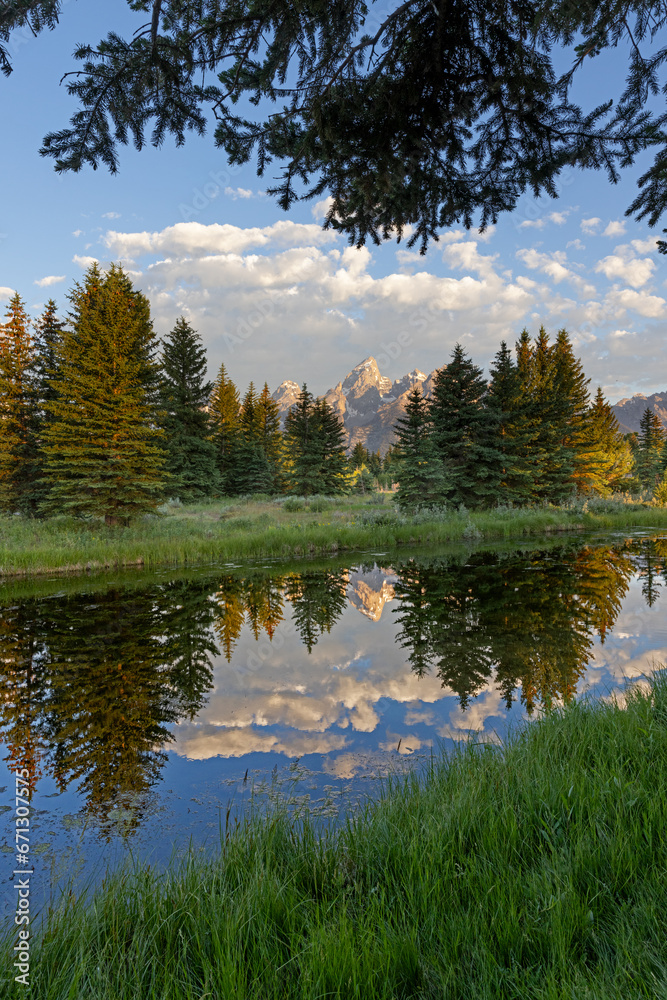 Teton Reflection