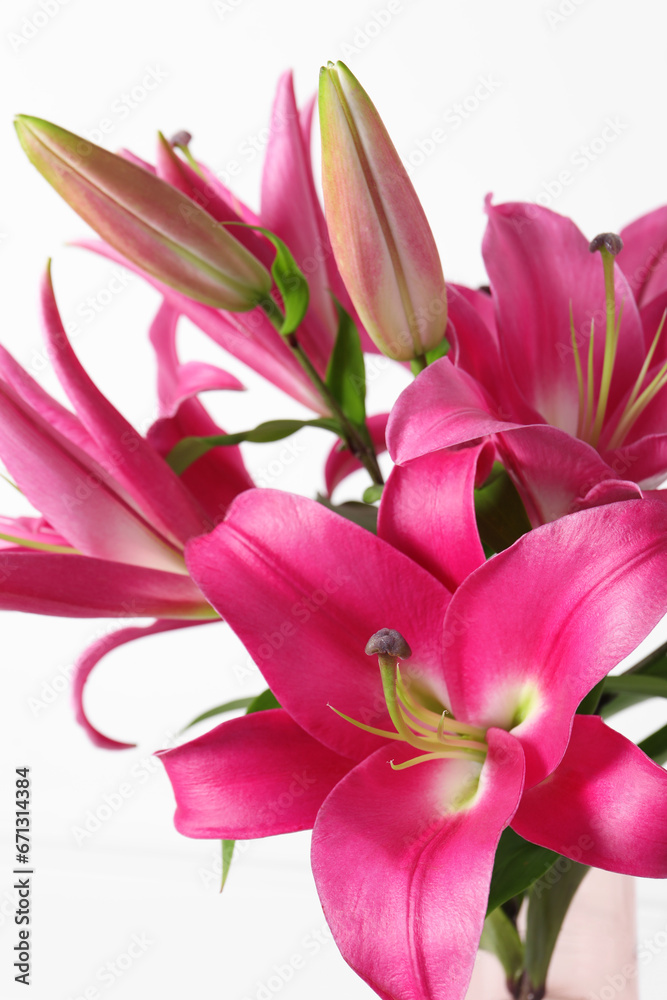 Fototapeta premium Beautiful pink lily flowers on white background, closeup