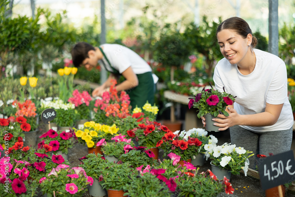 Young woman chooses petunia with densely arranged flowers to decorate office balcony