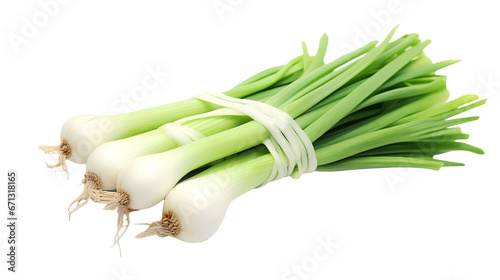 Coriander on transparent background