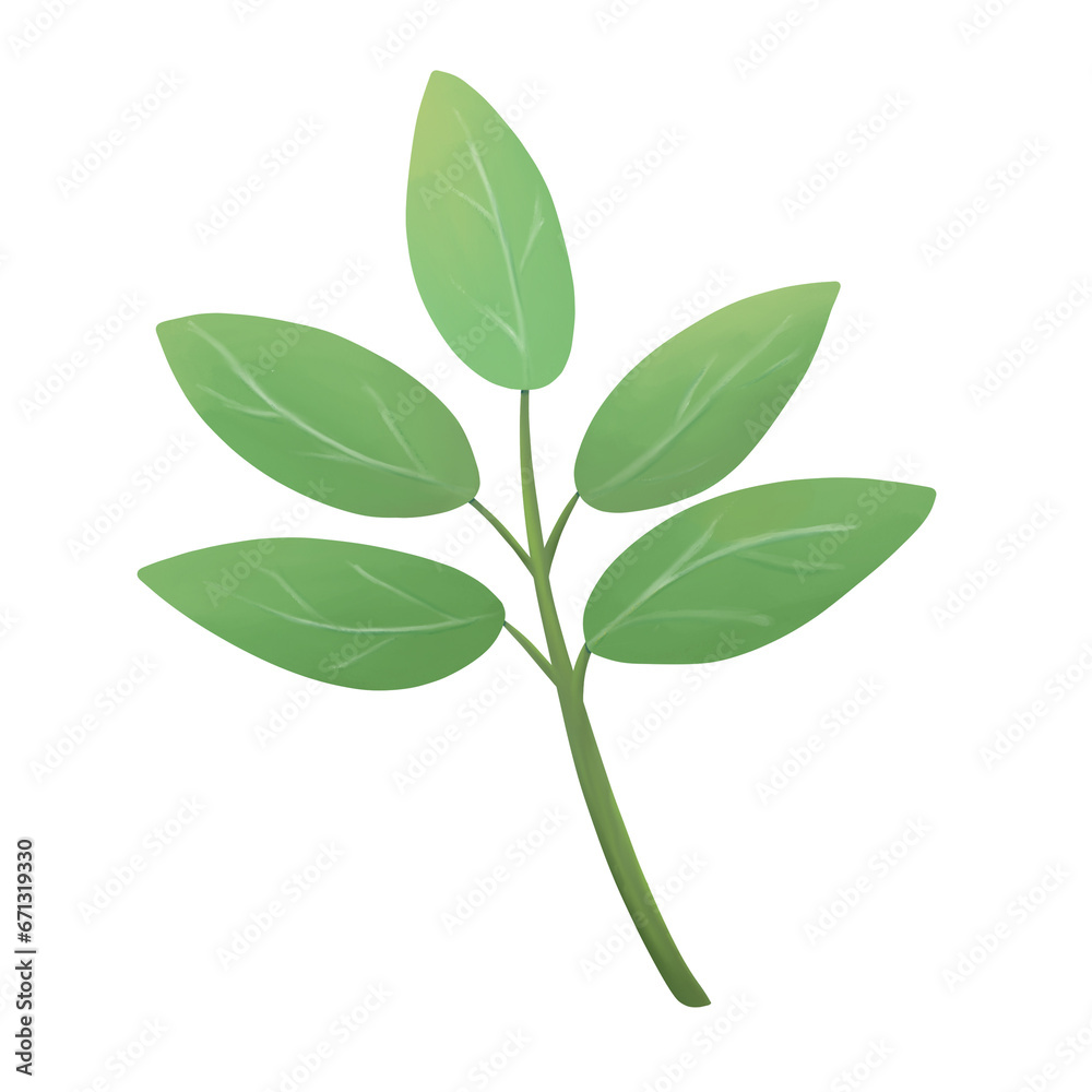 Illustrator of branch of green leaf isolate on white background