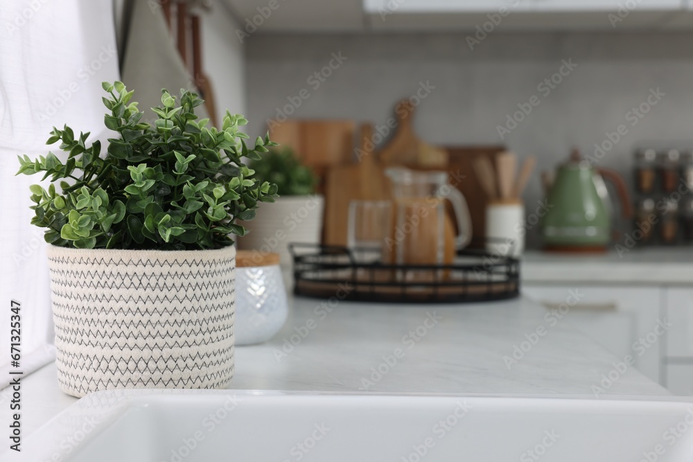 Beautiful potted artificial plants on countertop in kitchen, space for text. Home decor Beautiful potted artificial plants on countertop in kitchen, space for text. Home decor
