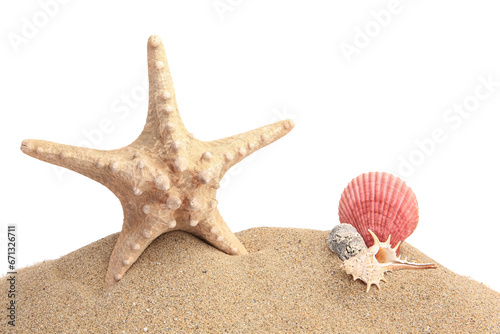 Beautiful sea star (starfish) and seashells in sand isolated on white