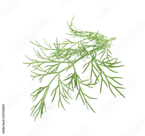 One sprig of fresh dill isolated on white © New Africa