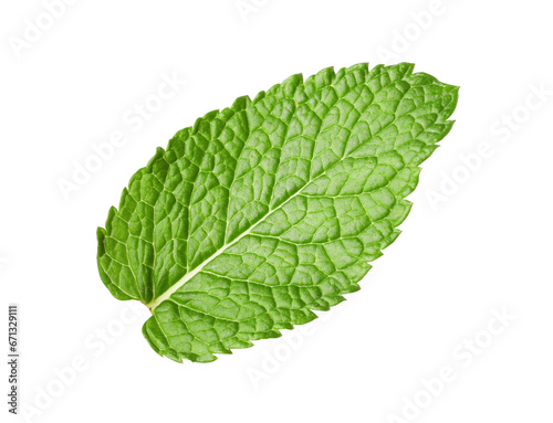 Fresh green mint leaf isolated on white  top view