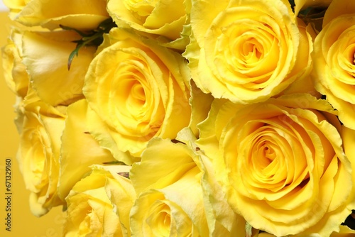 Beautiful bouquet of yellow roses  closeup view