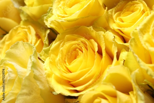 Beautiful bouquet of yellow roses as background  closeup