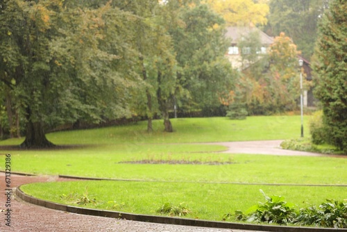 Fényképezés Beautiful view of park on rainy day