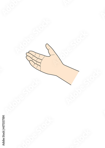hand_4_colour