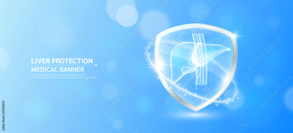 Liver inside glass shield glowing with medical icon sign symbol on blue bokeh lights background. Medical health care innovation immunity protection. Human anatomy organ translucent. Banner vector. Liver inside glass shield glowing with medical icon sign symbol on blue bokeh lights background. Medical health care innovation immunity protection. Human anatomy organ translucent. Banner vector.