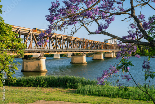 Grafton bridge with blossoming jacaranda tree in the foreground in Grafton, NSW, Australia photo