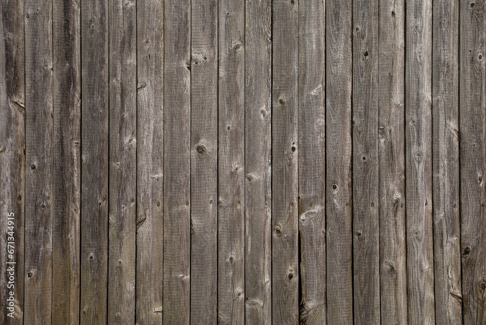 wooden fence stands tall, weathered by time, a symbol of protection and boundaries. Warm sunlight enhances its rustic charm in a serene garden setting wooden fence stands tall, weathered by time, a symbol of protection and boundaries. Warm sunlight enhances its rustic charm in a serene garden setting