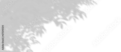 Shadow shade leaves tree branches movement isolated backgrounds 3d render png