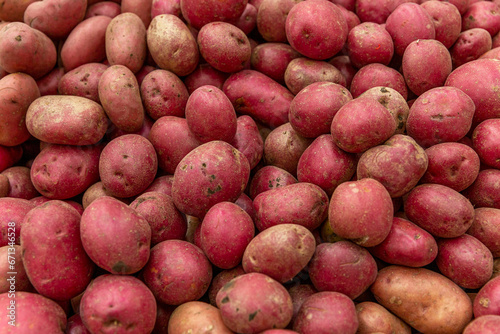 There are a lot of pink blue-eyed potatoes on the counter. Healthy eating and vegetarianism. Close-up. Background.