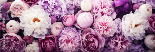 Beautiful peony flowers overhead view