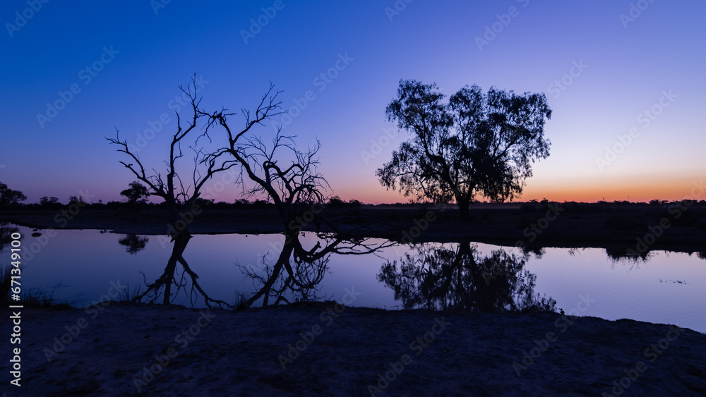 Silhouetted trees, Pilliga lagoon at sunset