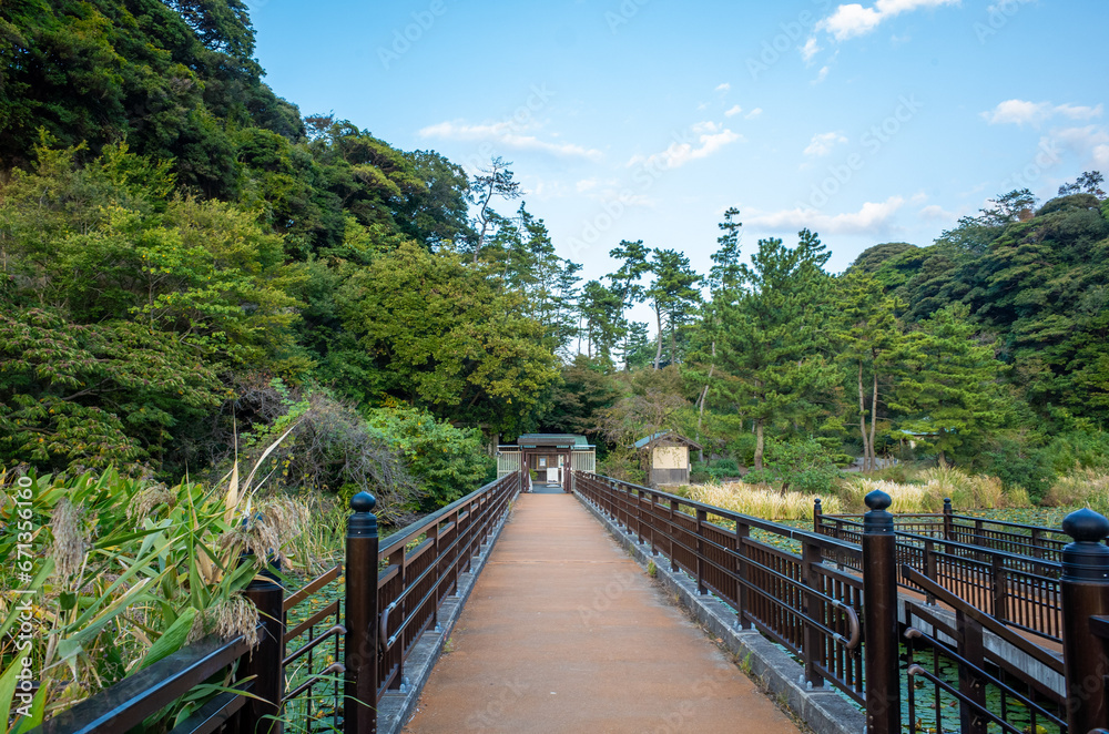 Obraz premium 横浜の三渓園（日本庭園）