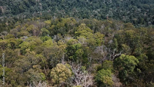 Drone aerial with a slow pan over Australian native bush lands mountain photo