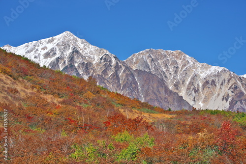 白馬鑓ヶ岳と杓子岳を望む八方尾根の黒菱平の紅葉