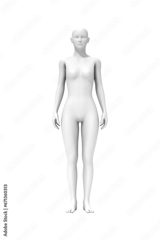 Woman standing, 3D computer graphic image of human body Woman standing, 3D computer graphic image of human body