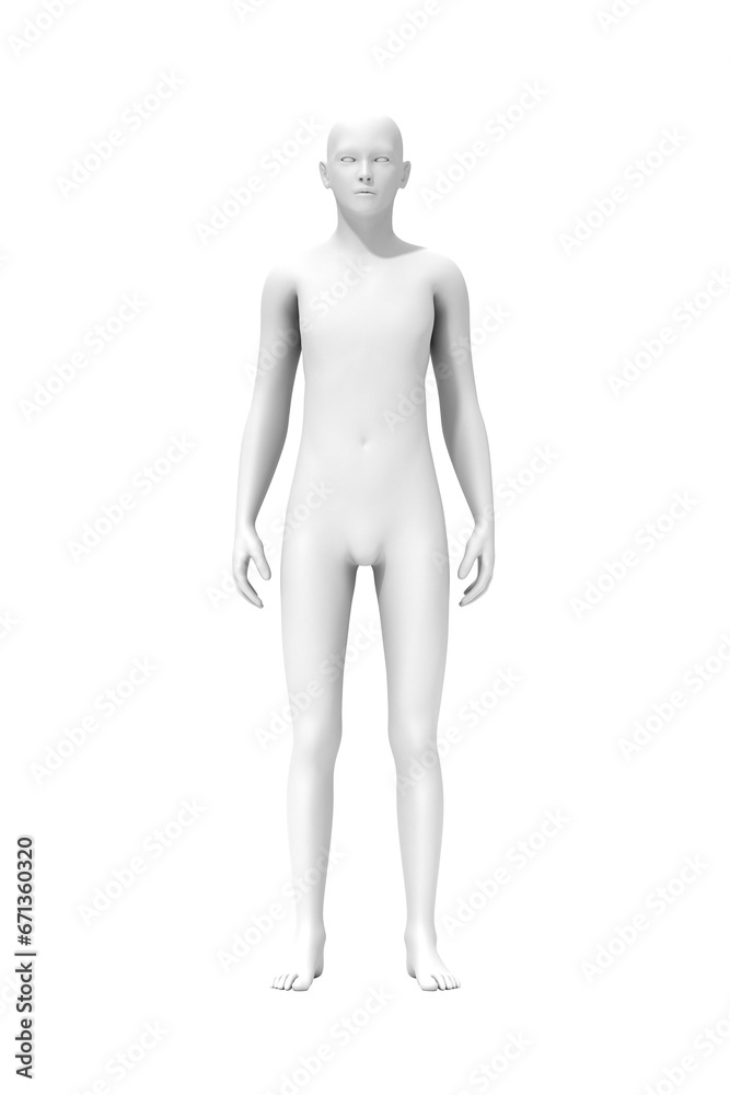 Man standing, 3D computer graphic image of human body Man standing, 3D computer graphic image of human body