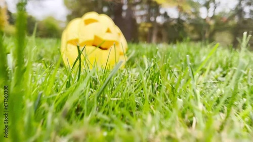 Wallpaper Mural scary pumpkin we are approaching it to scare the yellow head, the pumpkin opened its mouth in surprise, emotion nine points Torontodigital.ca