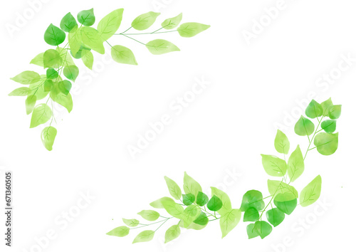水彩で描かれた植物のフレーム　手書きイラスト　ハーブ　野草　結婚式　招待状　明るい緑色
