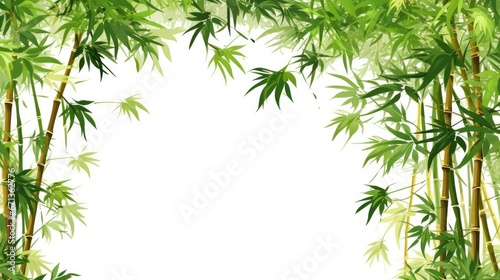 Bamboo tree on white background for decoration of art frame wallpaper card and banner.