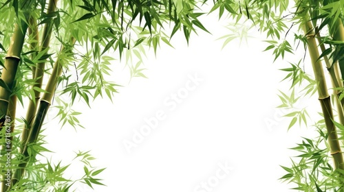 Bamboo tree on white background for decoration of art frame,wallpaper,card and banner.