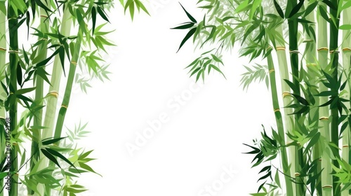 Bamboo tree on white background for decoration of art frame wallpaper card and banner.