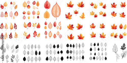 Autumn leaves in orange and red colors for Fall and Thanksgiving season. leaves line art in black color. Vector isolated on white background.