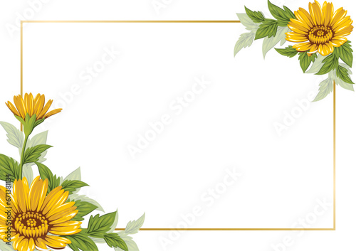 Yellow daisy flower frame, invitation background. Floral vector illustration for card or decoration.	