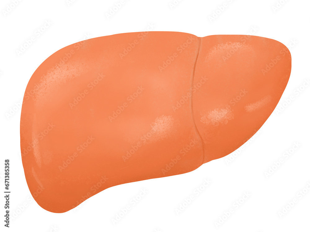간 간