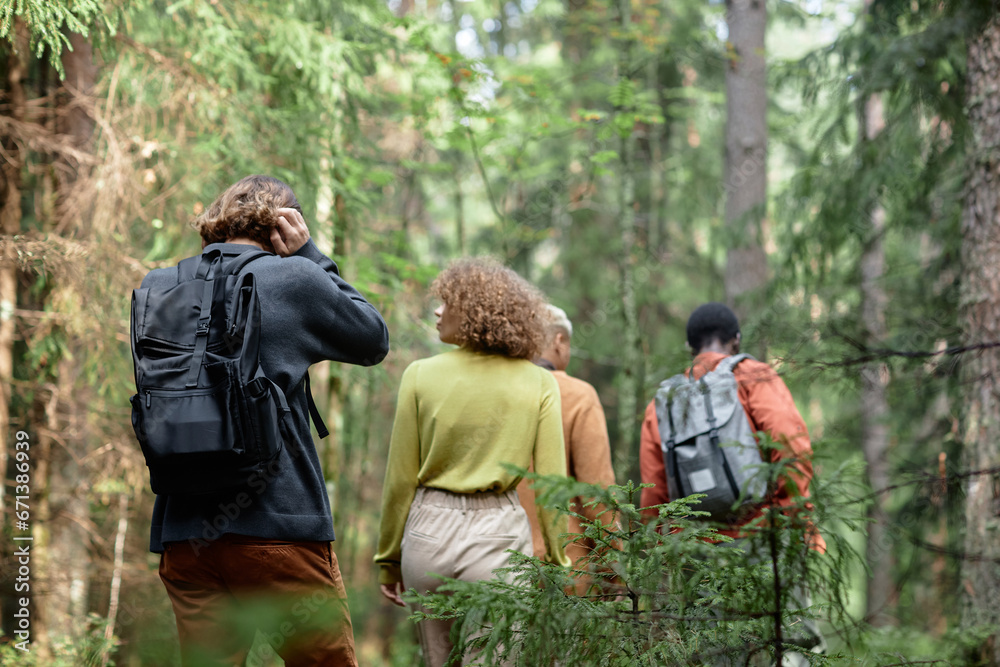 Rear view of group of friends walking together in the forest during hiking Rear view of group of friends walking together in the forest during hiking