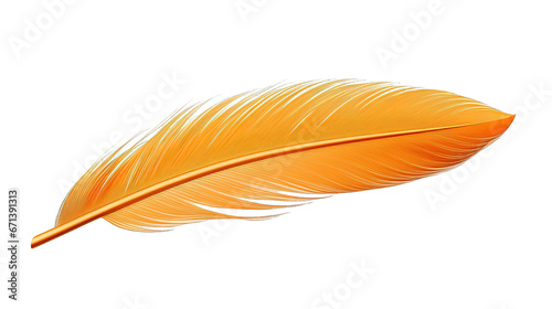 Orange Feather Isolated